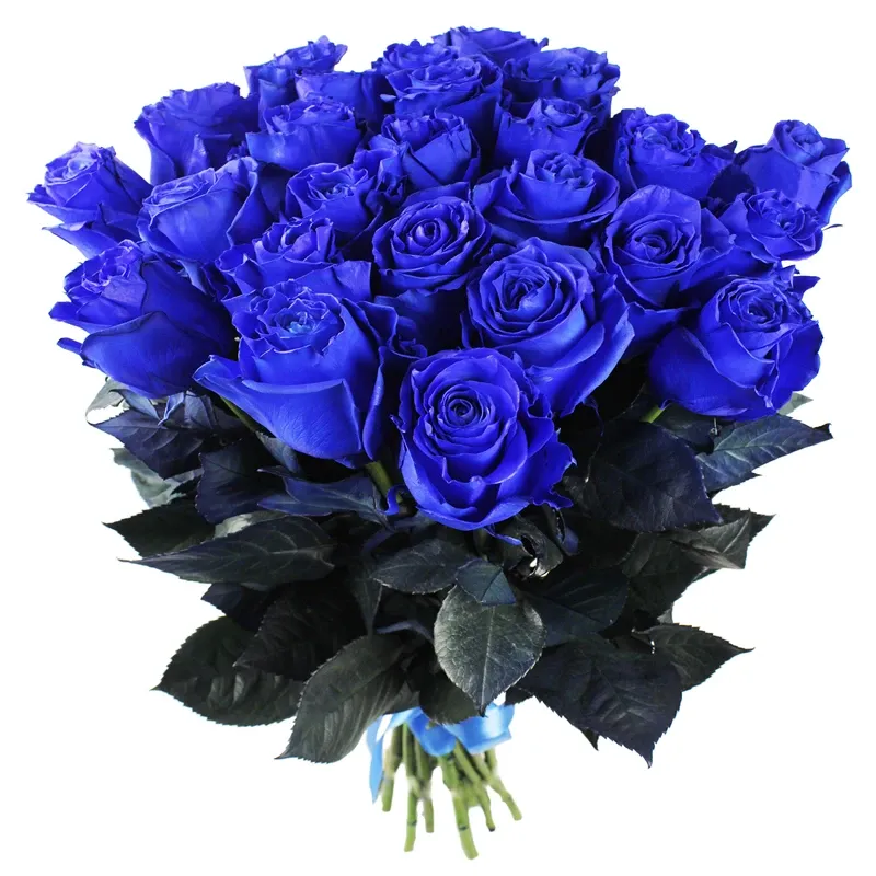 Розы синие